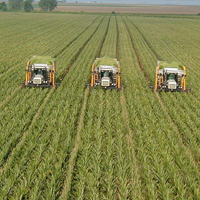 Agroalimentacion